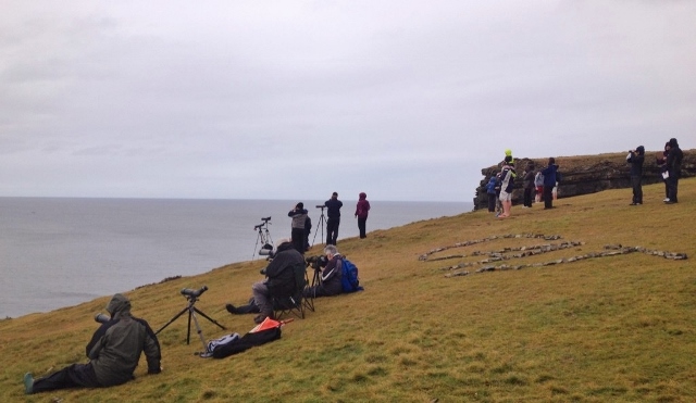 Whale Watchers at Loop Head, Co. Clare enjoying bottlenose dolphins